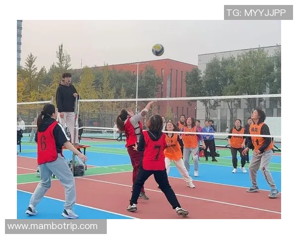 深圳排球队的团队协作揭秘：排球巨献背后的默契与拼搏精神