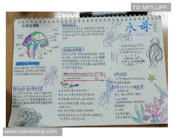 水母足球的奇妙世界探索与未来发展潜力分析